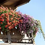 Stelle Martina * Livigno